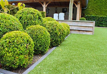 Verzorgde tuin met ronde buxusvormen, gazon en houten overkapping