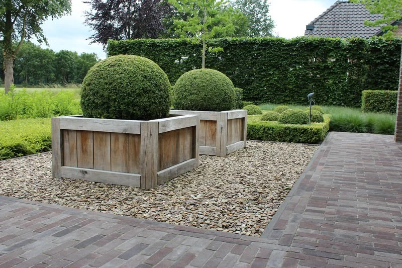 Vakkundig gesnoeide groene bollen in houten plantenbakken