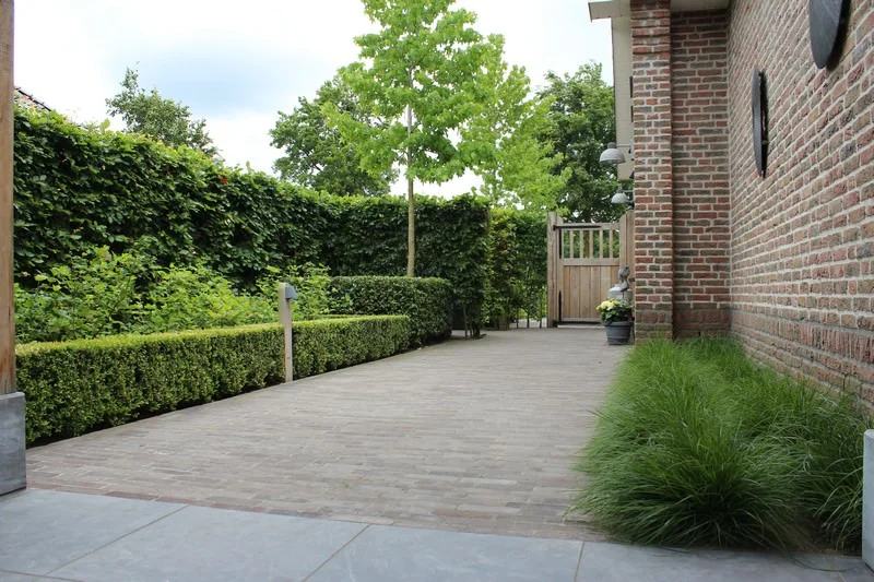 Ruim terras met nette bestrating en groene borders langs de woning