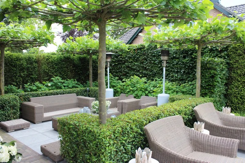 Groen terras met leibomen en een comfortabele zithoek, aangelegd en onderhouden door Machielsen Tuinen