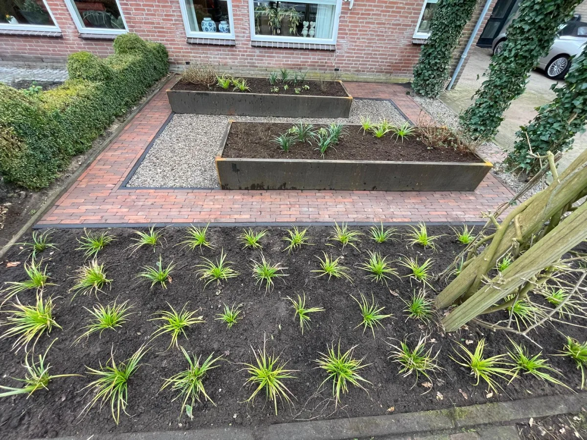 Tuin
